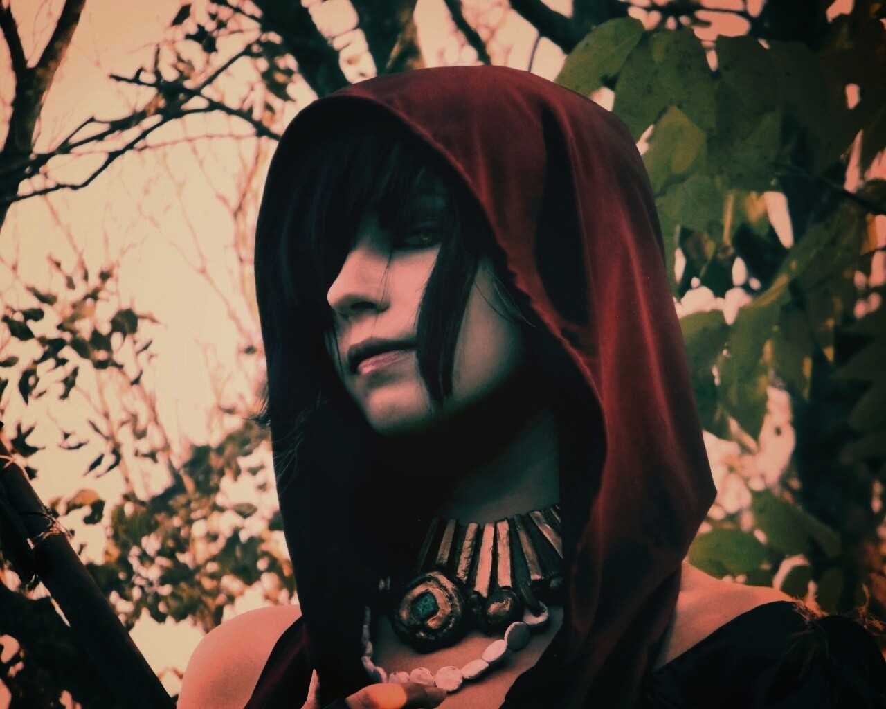 Косплей Морриган обои