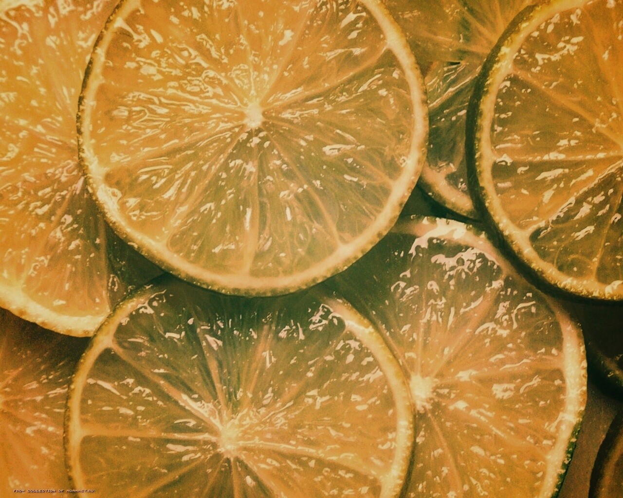 Зеленый лайм обои