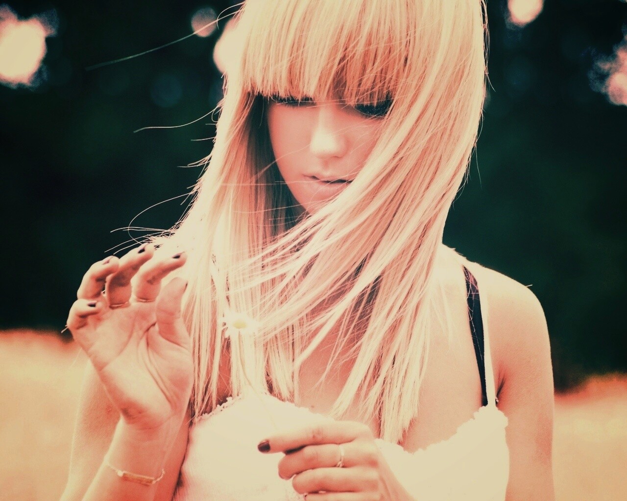 Красивая блондинка с ромашкой обои