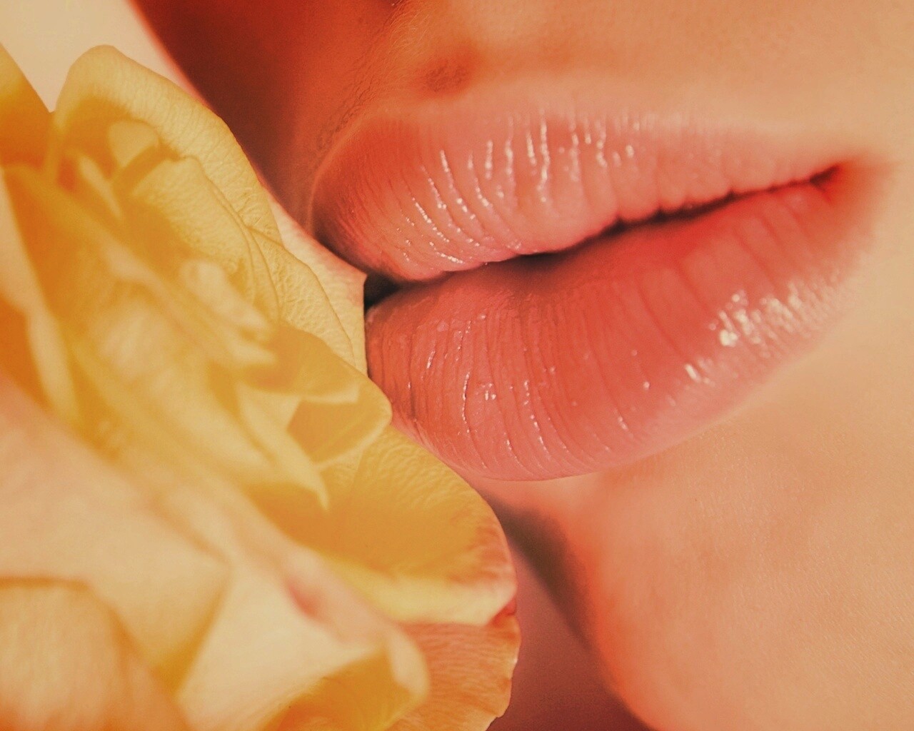 Губы девушки и роза обои