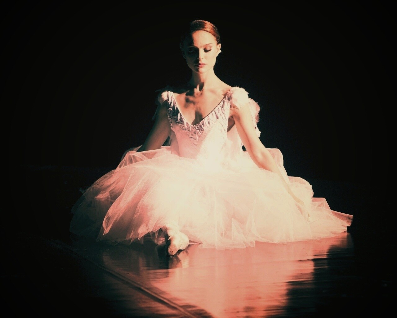 Черный лебедь обои