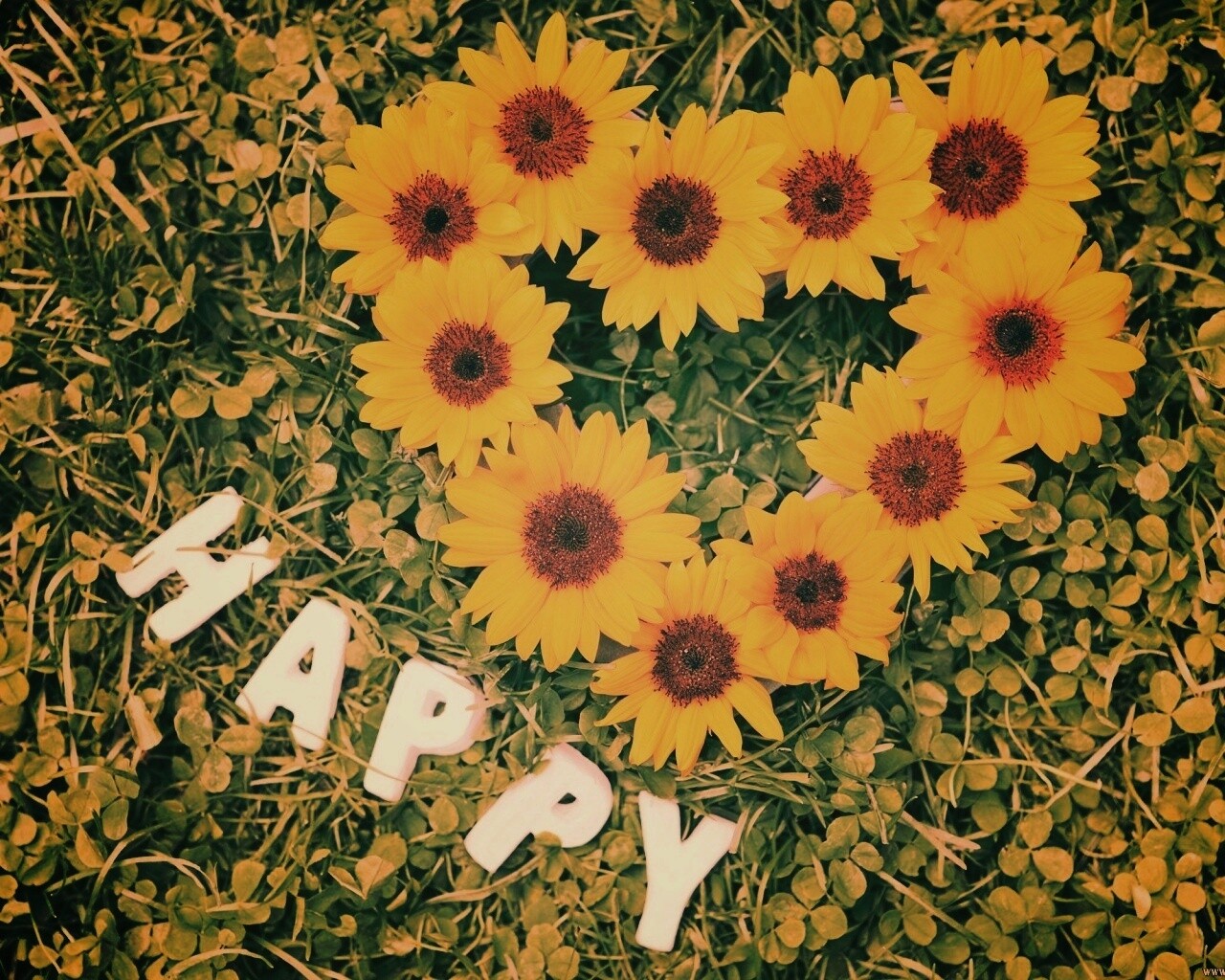 Радость обои