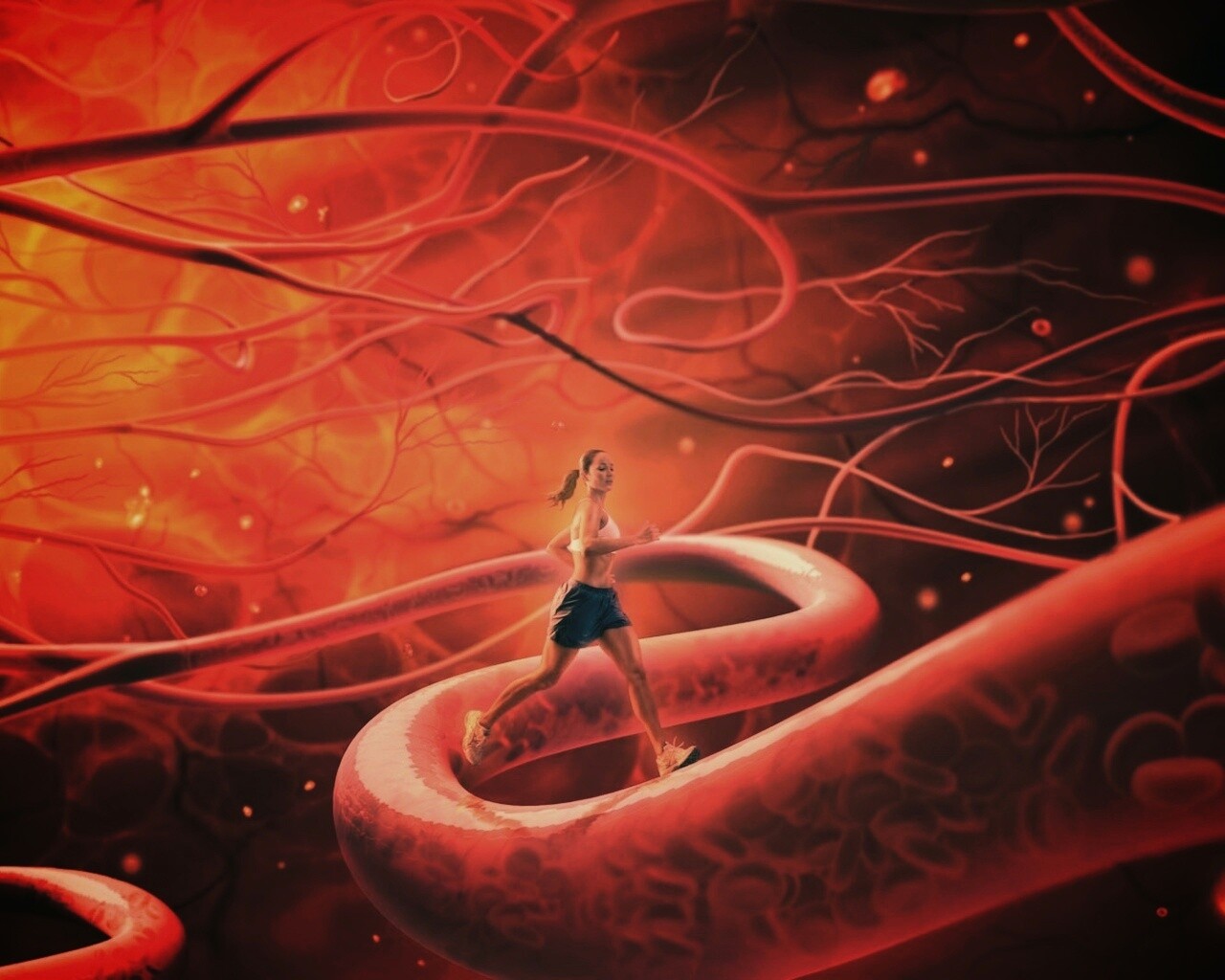 Бег крови обои