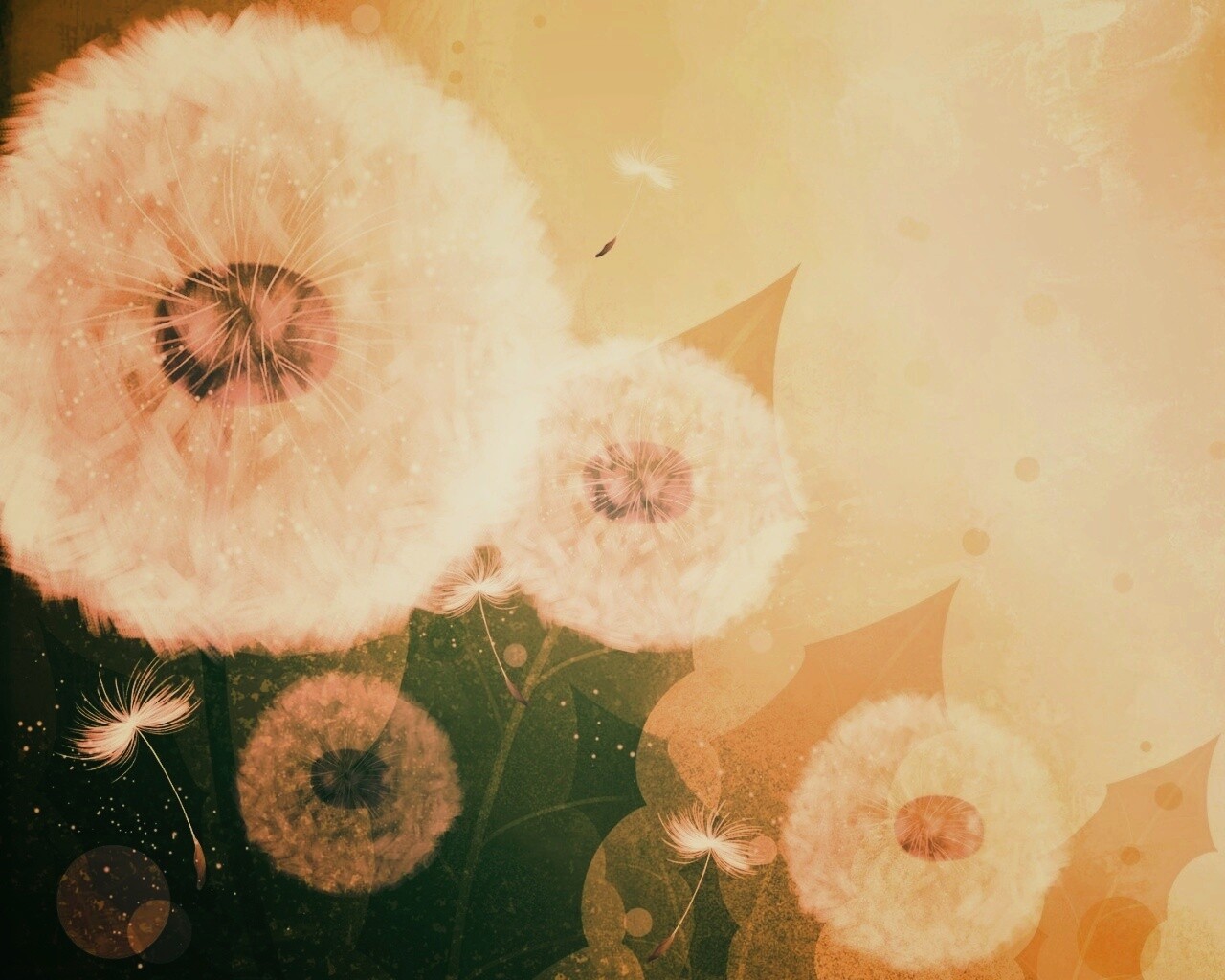 Одуванчики обои