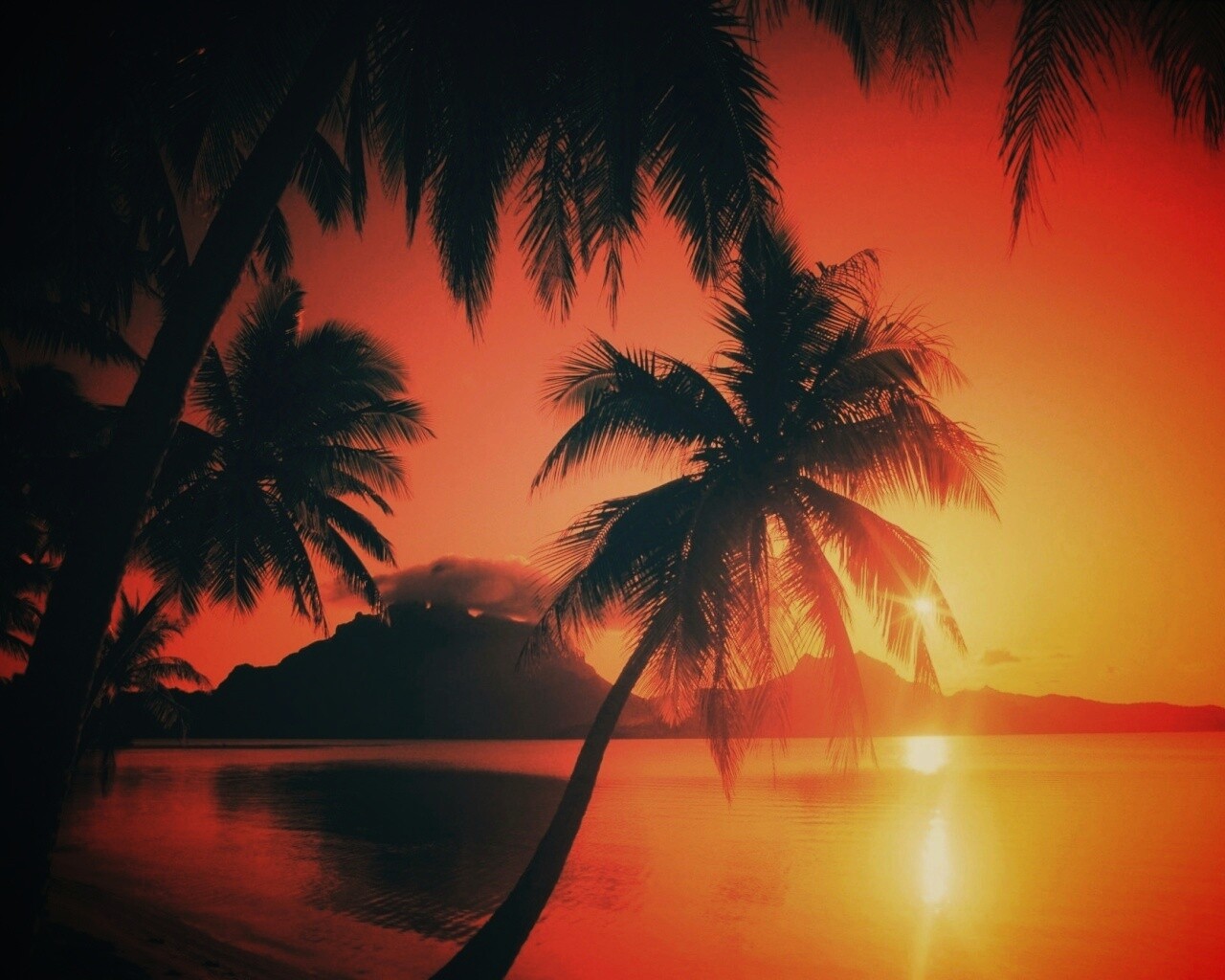 Закат в раю обои