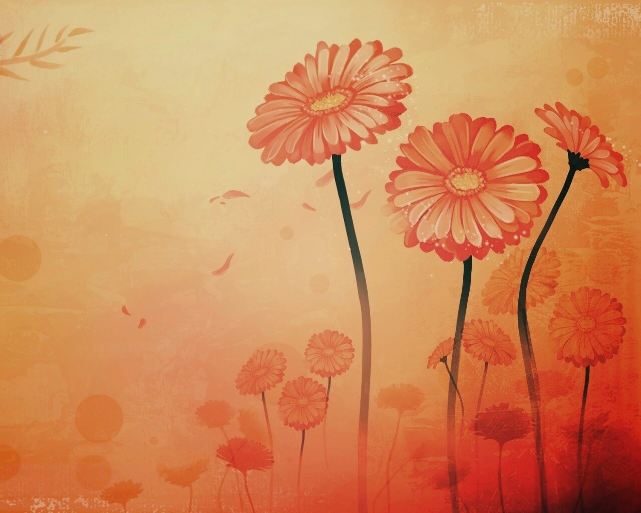 Векторные ромашки обои