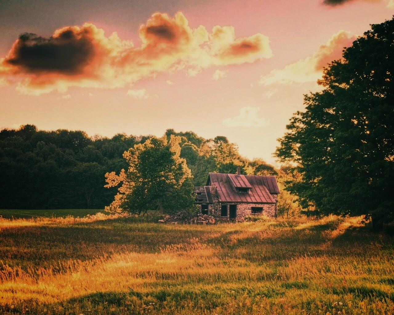 Домик в лесу обои