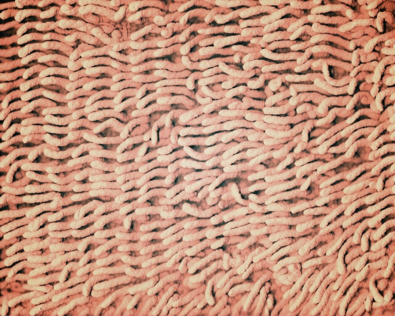 Ковер вблизи обои