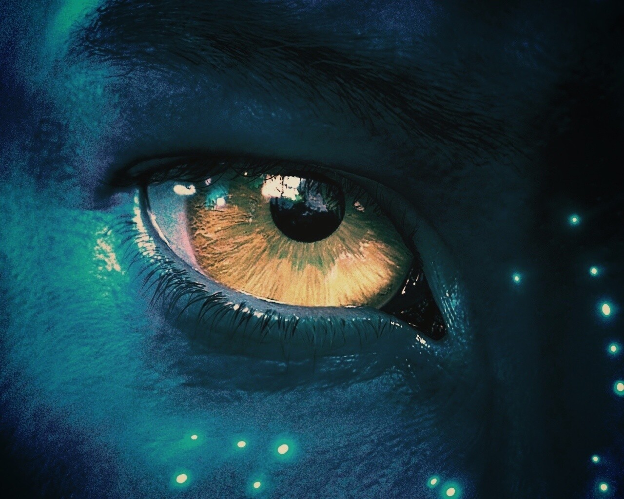 Смотрит прямо в душу обои