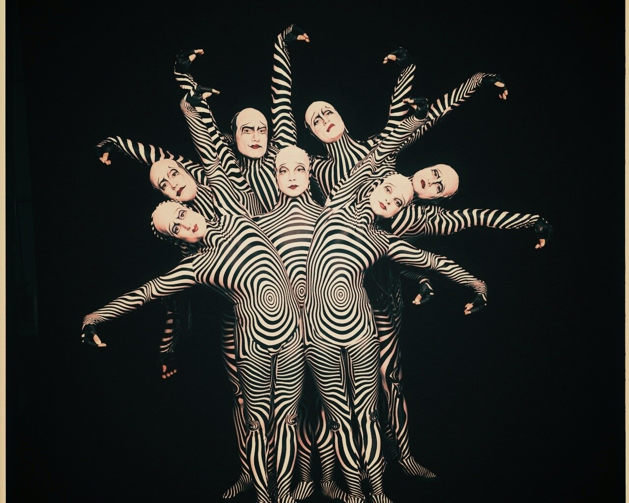 Зеброиды (актеры цирка дю солей) обои