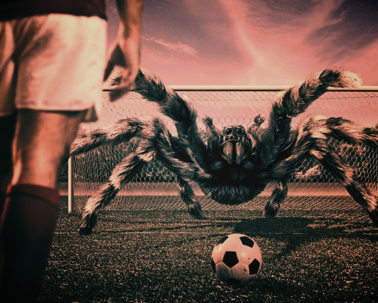 Вратарь обои