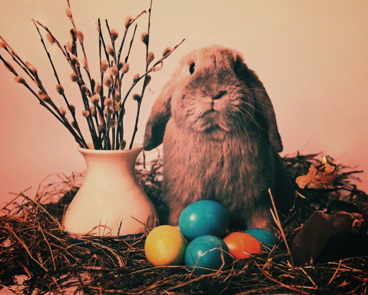 Пасхальный кролик обои