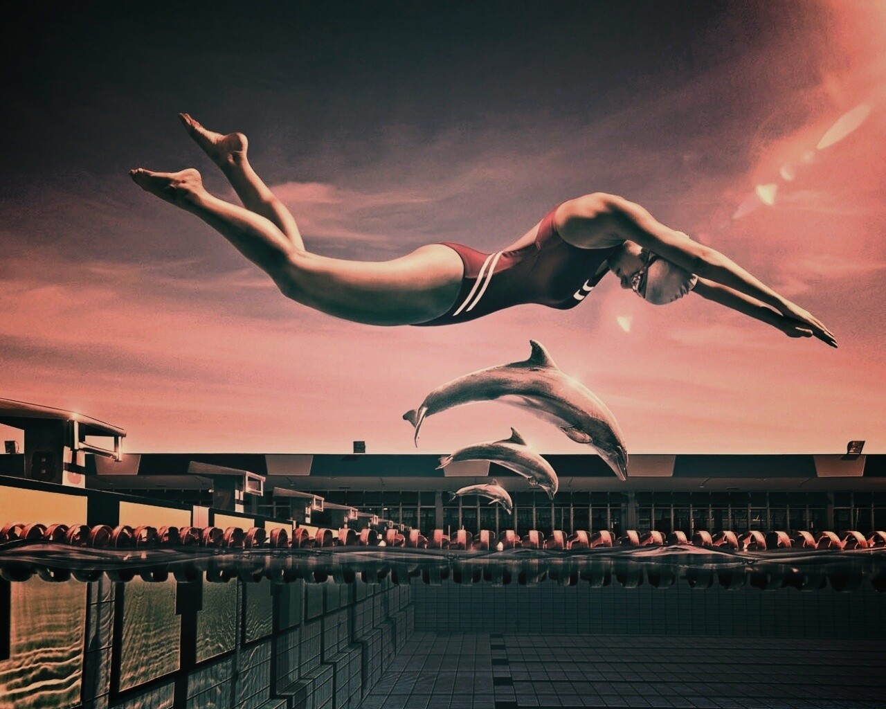 Соревнование обои