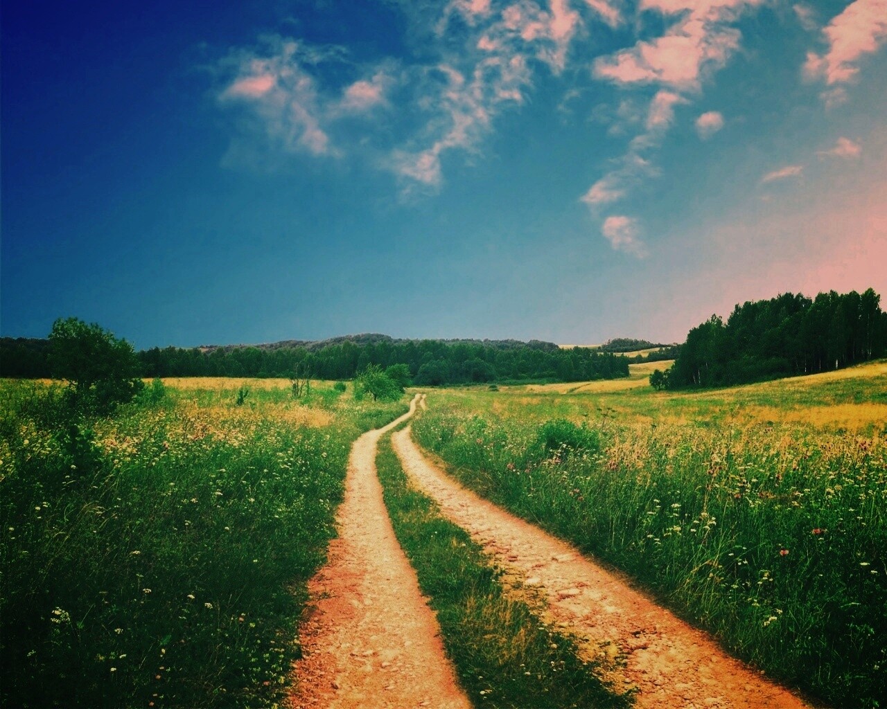 Дорога через луг обои
