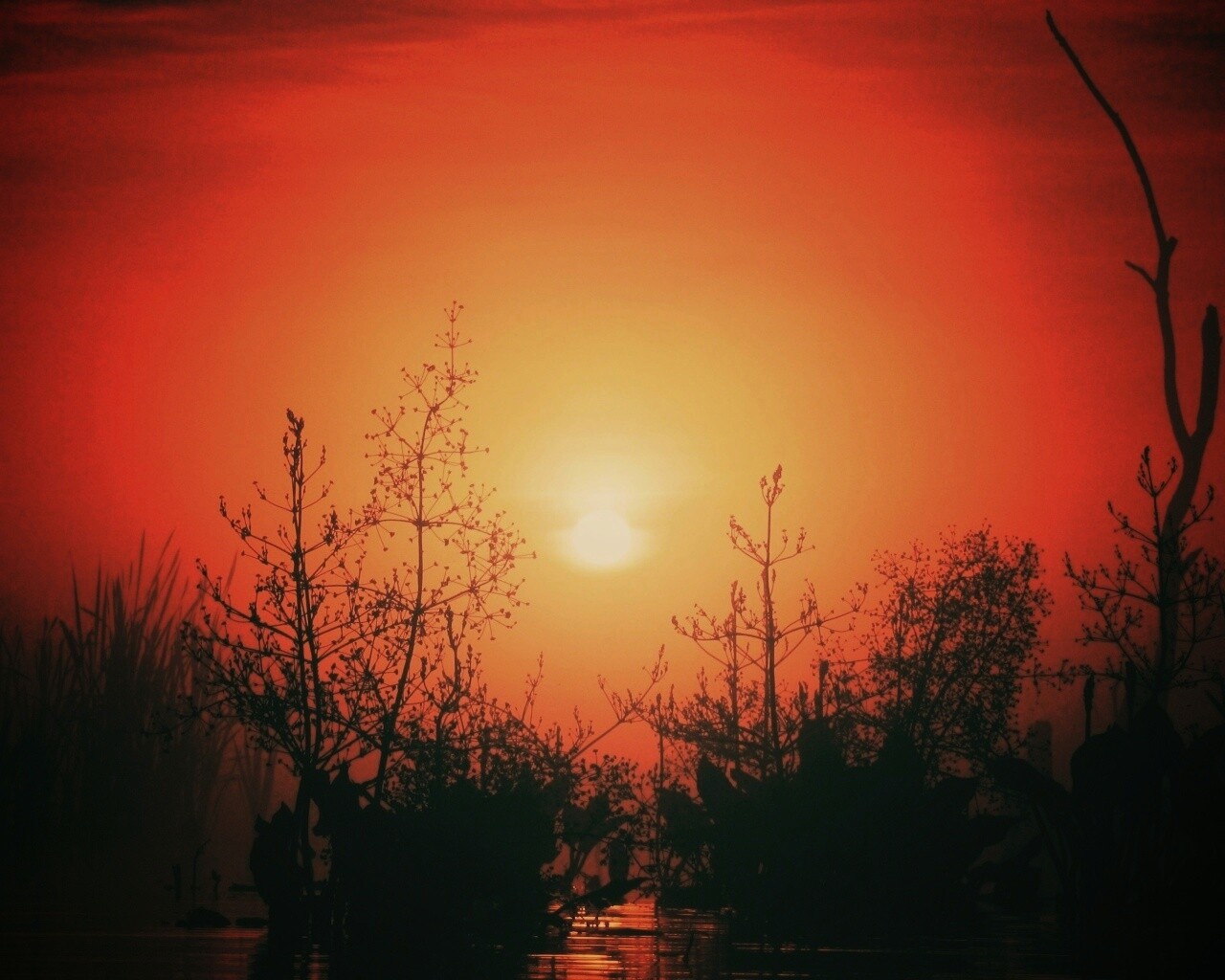 Доисторическое утро обои