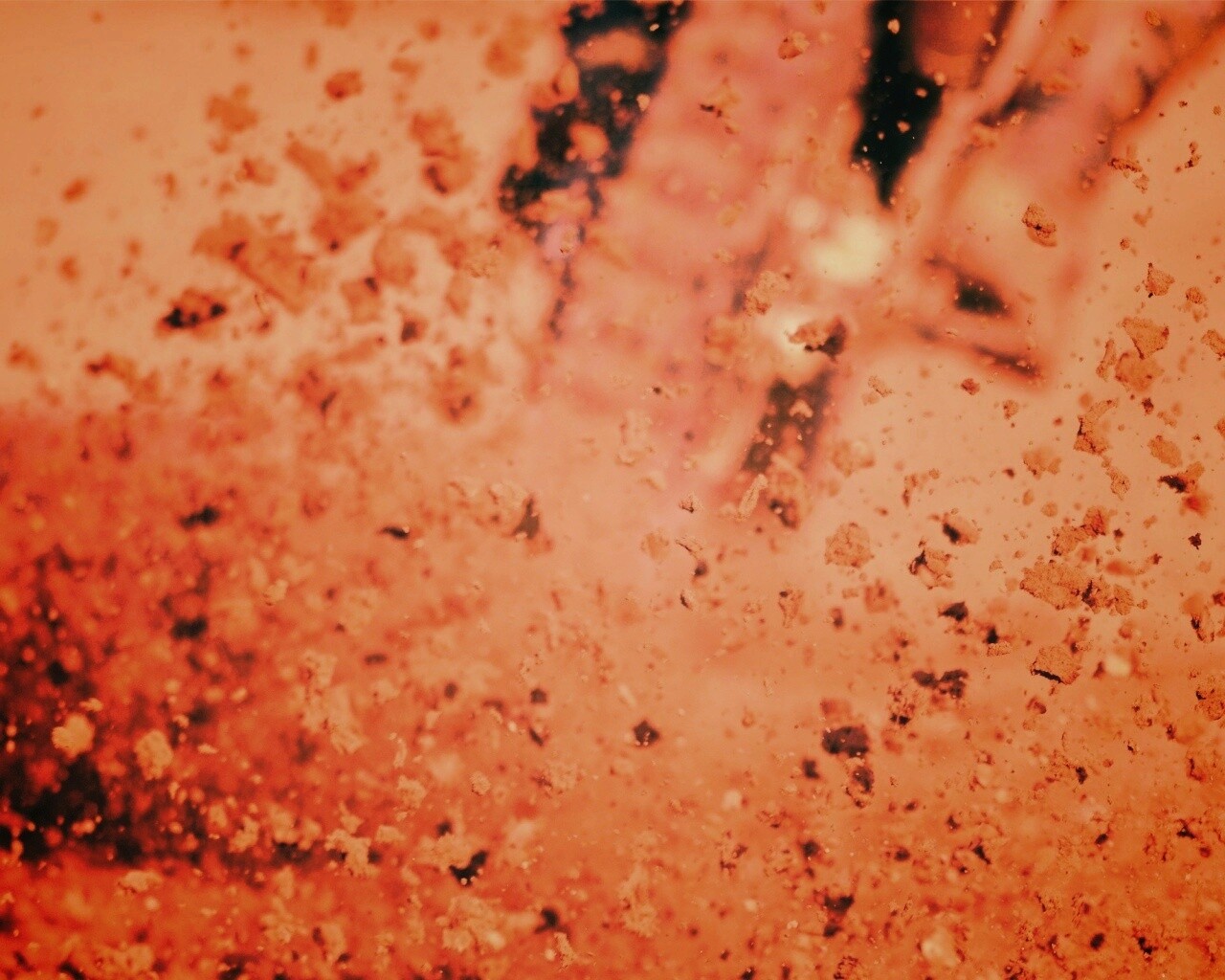 Моткросс обои