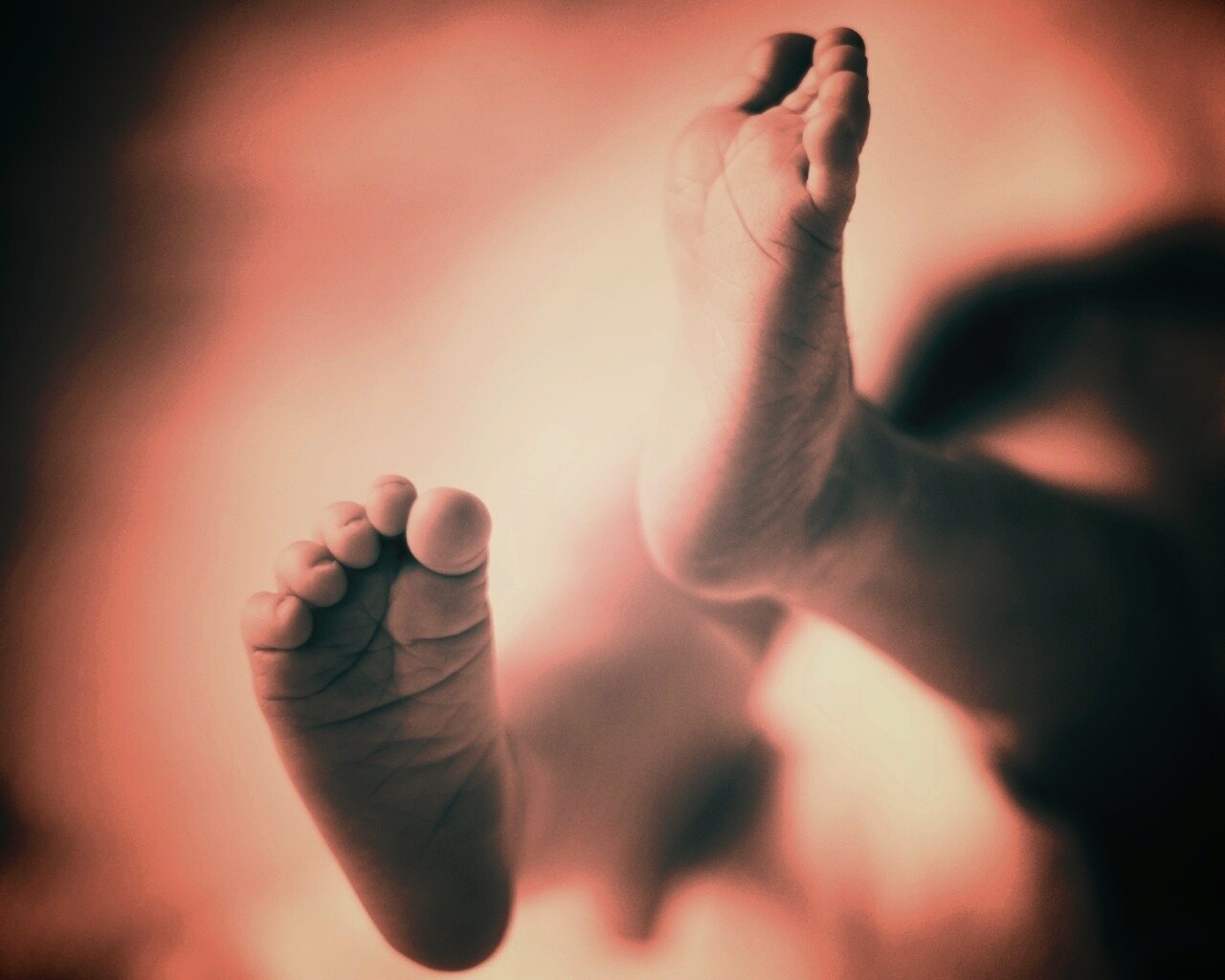Детские ноги обои
