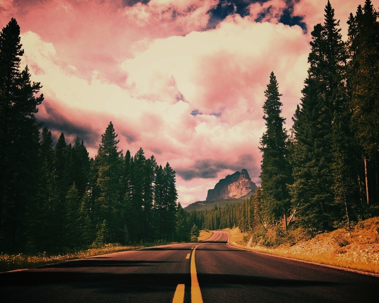 Красивая лесная дорога обои