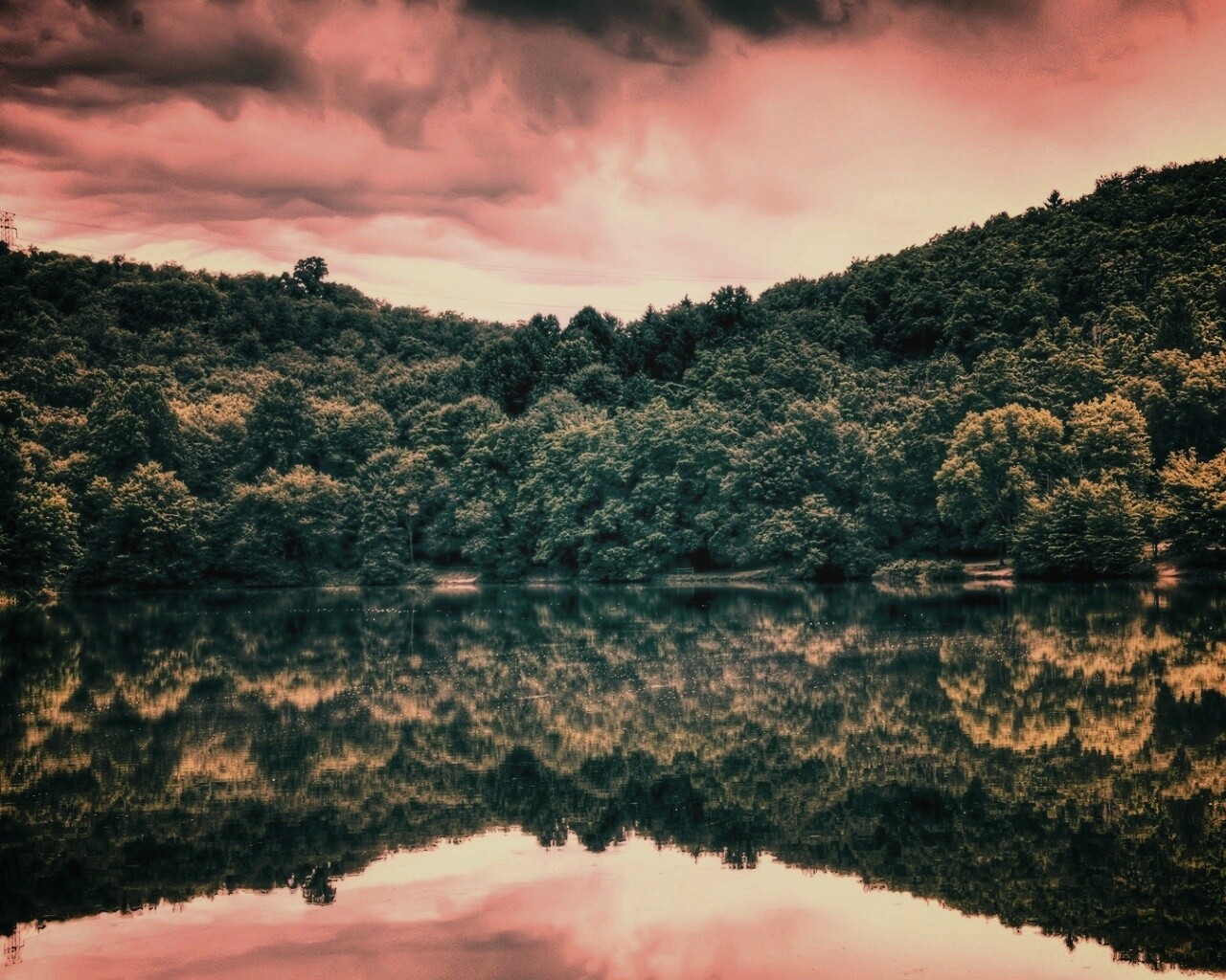 Лесной берег обои