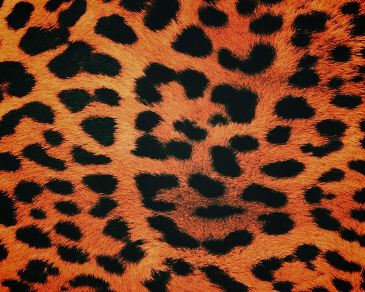 Шкура гепарда обои