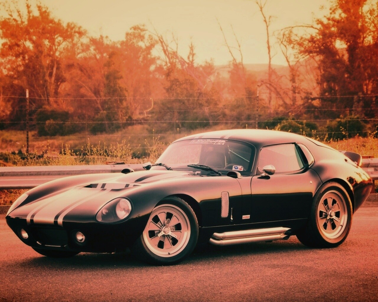 Shelby Daytona обои