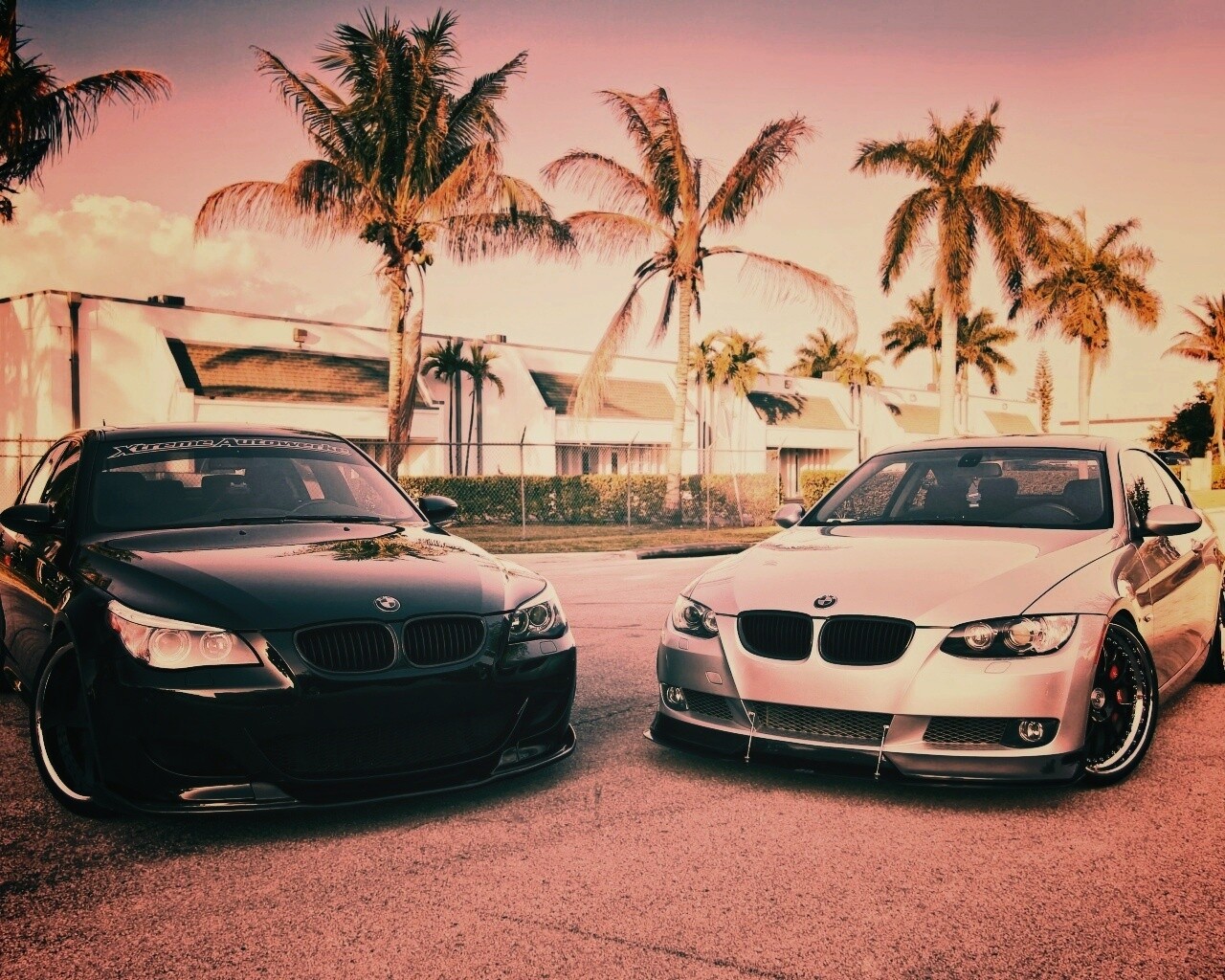 Две БМВ обои