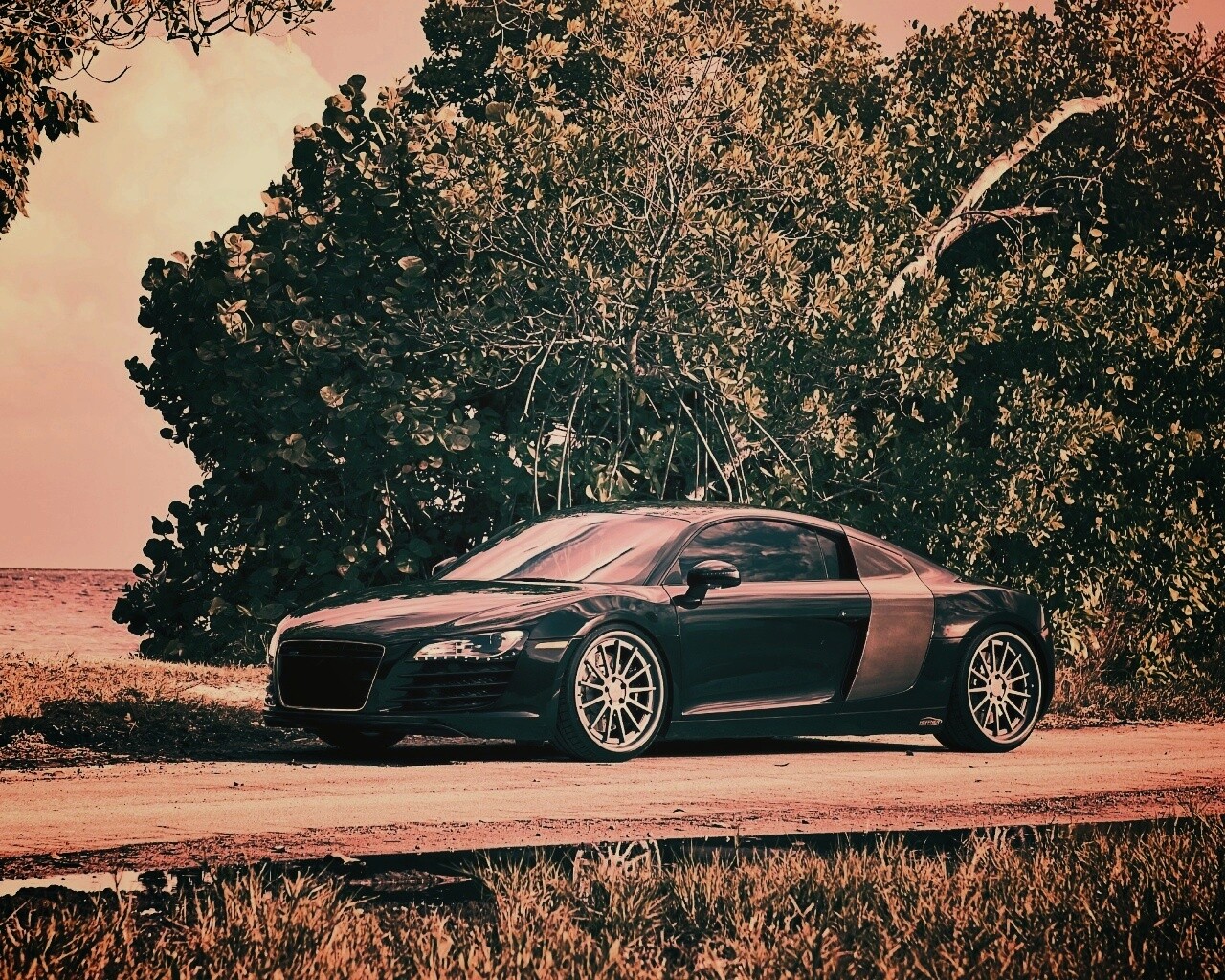 Audi R8 обои