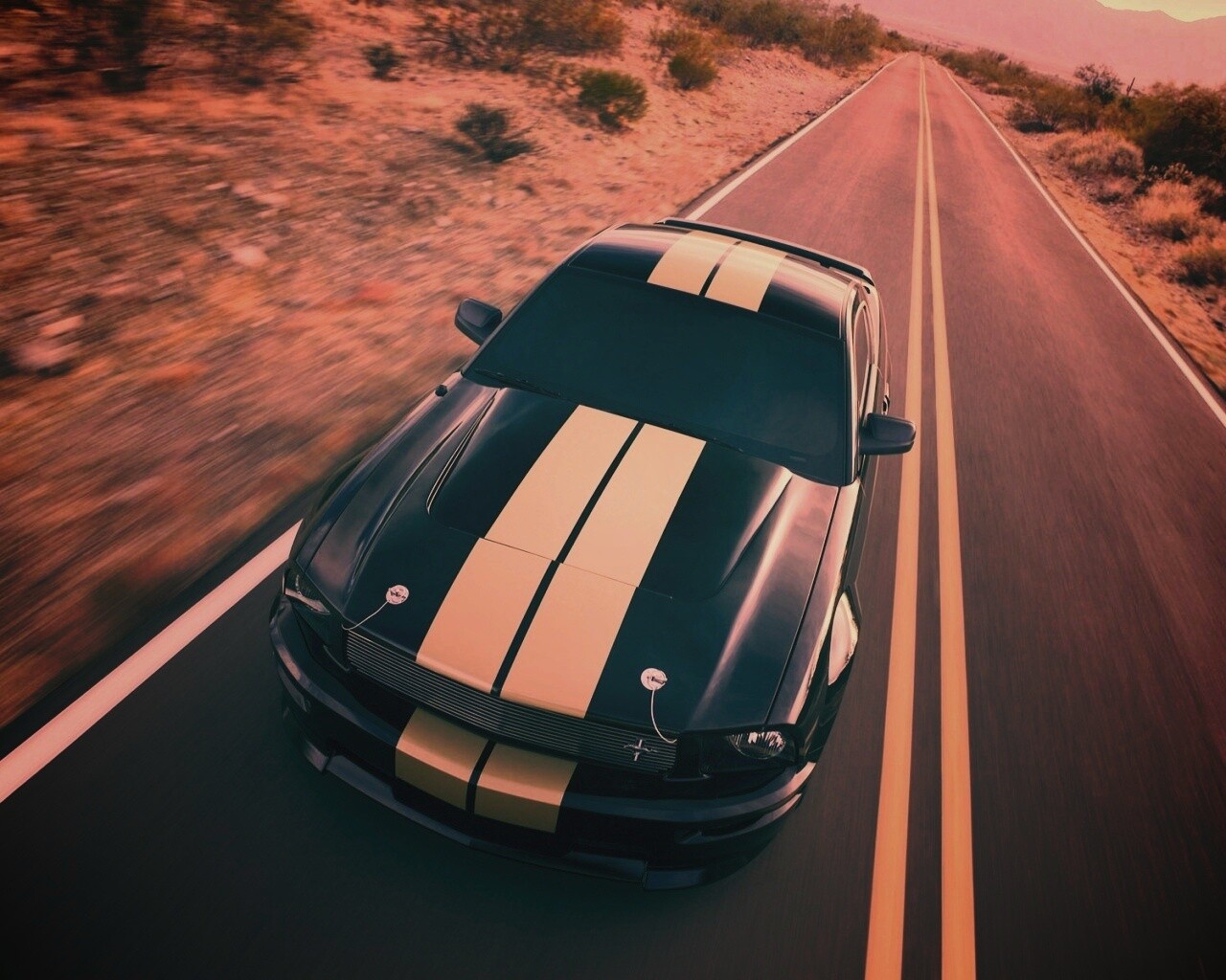 Ford Mustang  с гоночными полосками обои