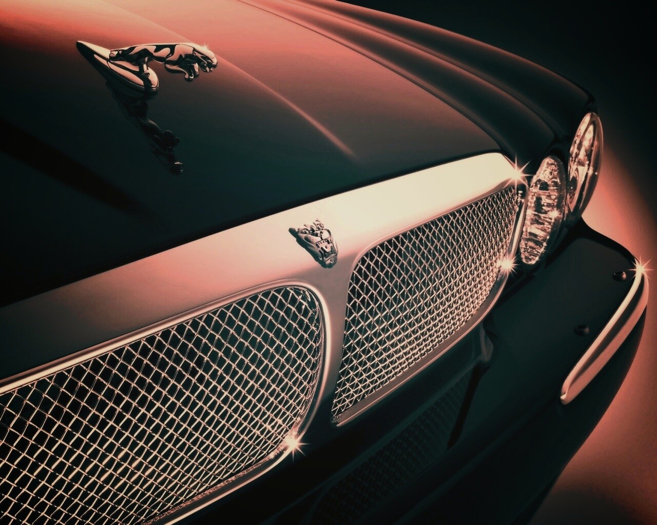 Капот и эмблема Ягуара обои