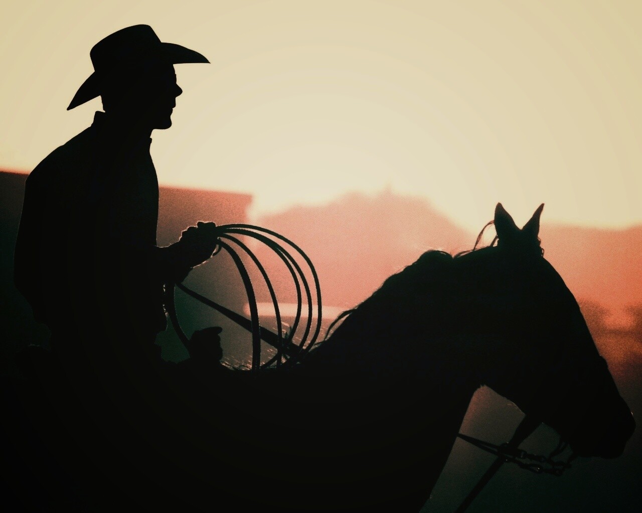 Ковбой с лассо на коне обои