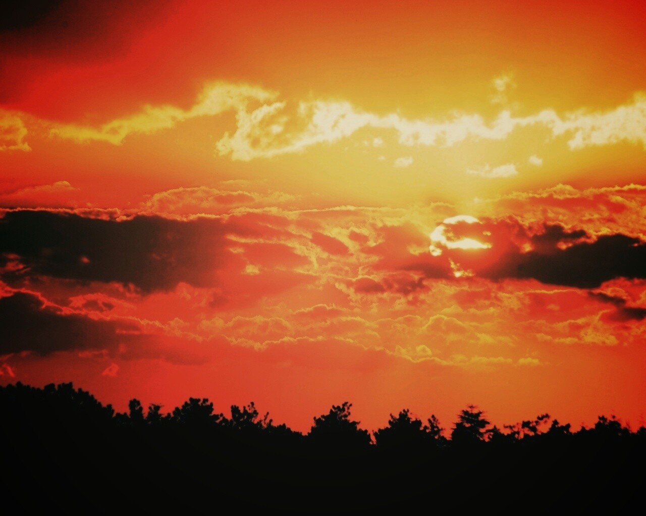 Ярко-оранжевое закатное небо обои