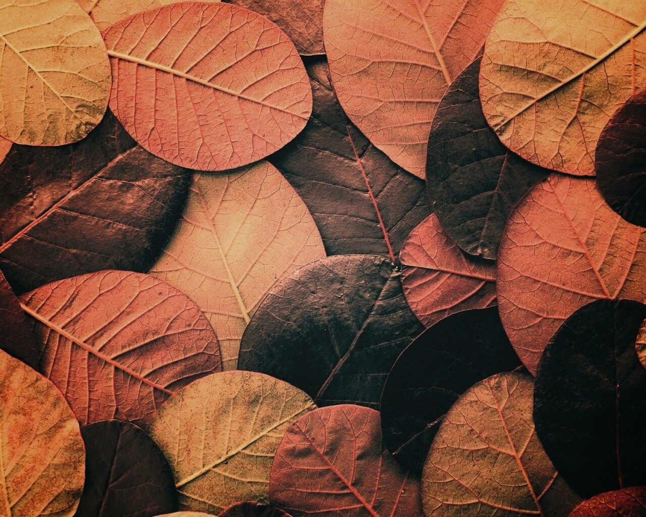 Лиственный узор обои