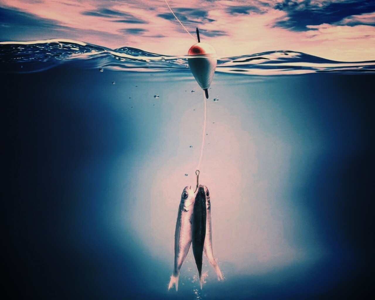 На крючке обои