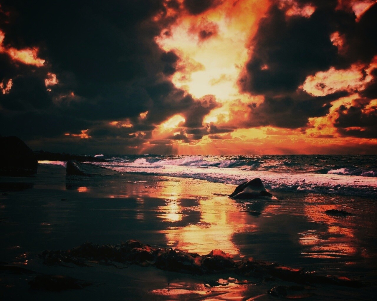 Океанский берег на закате обои