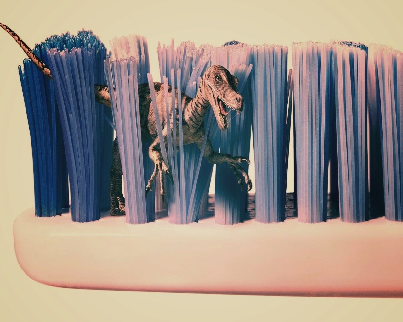 Кариозные монстры снова в деле обои