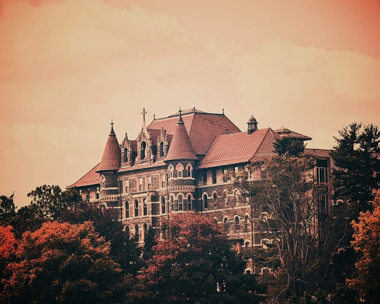 Колледж обои