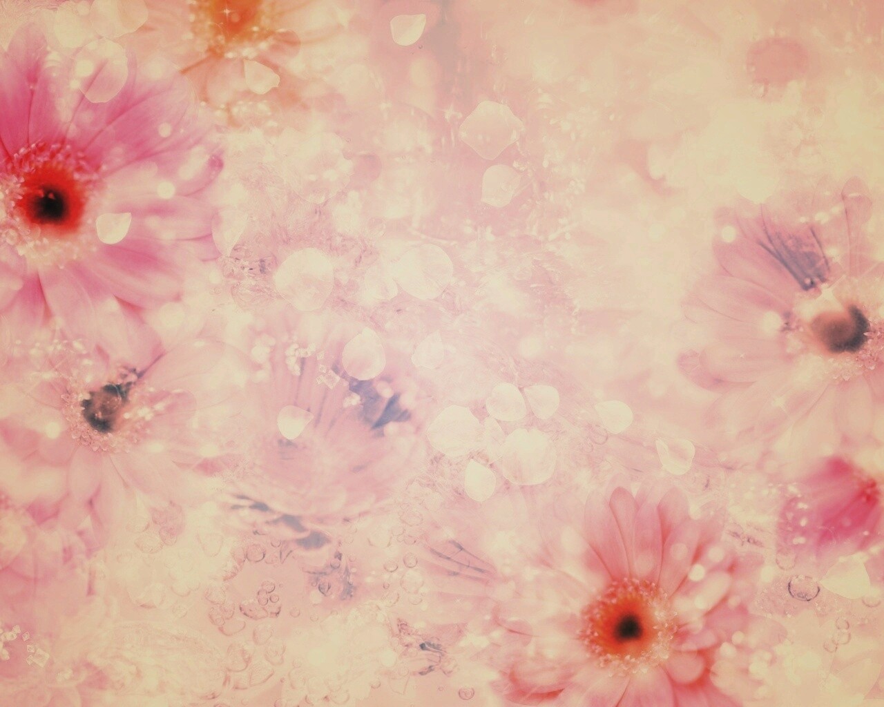 Цветочная эйфория обои