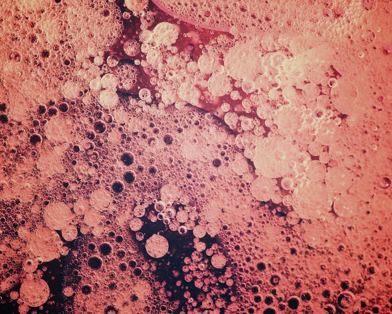 Реакция Вассермана в фиолетовых тонах обои