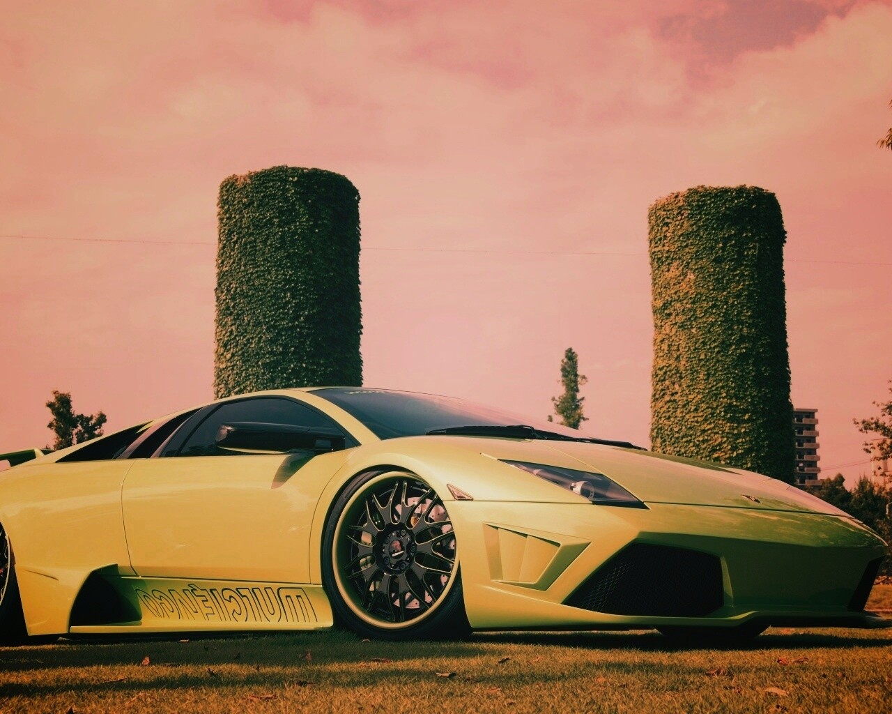 Зелёный Ламборджини на траве обои
