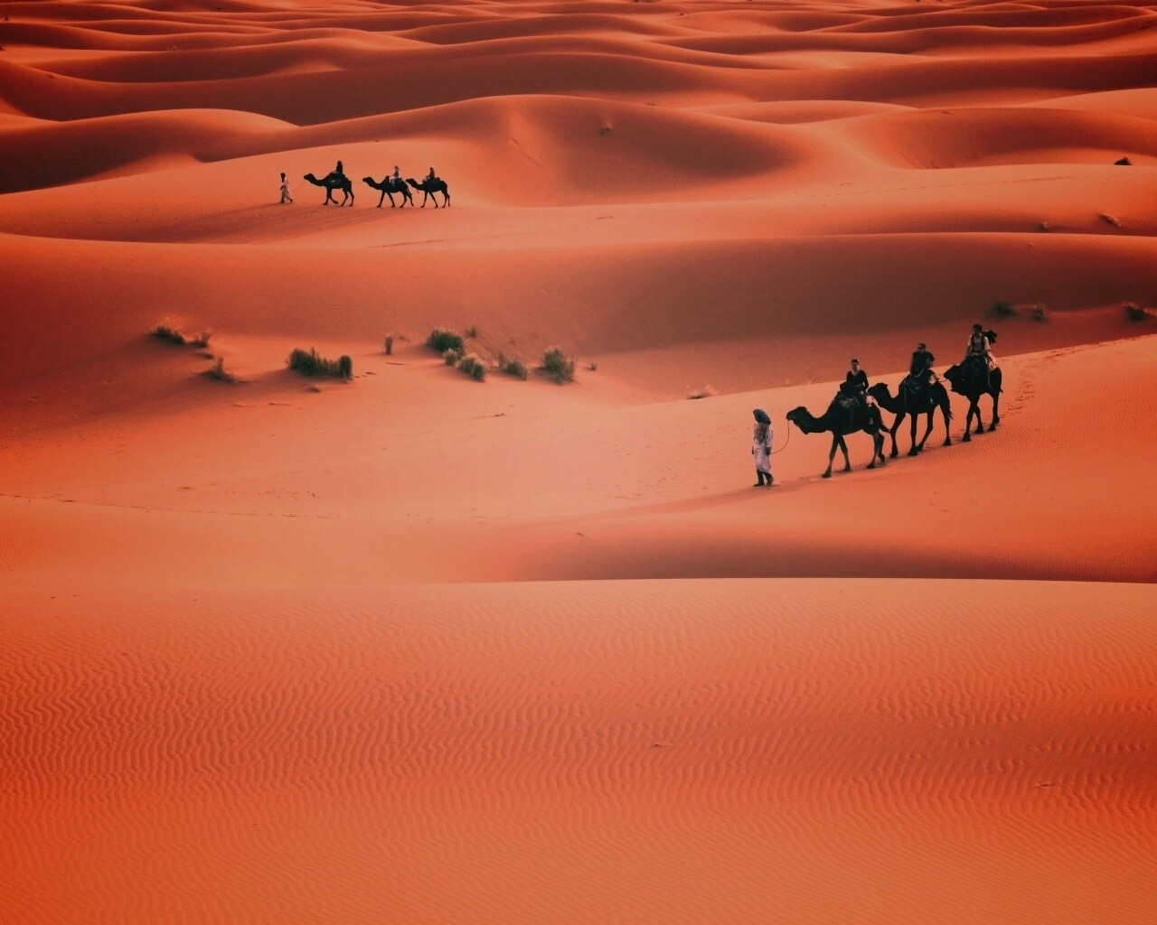 Караваны пустыни обои