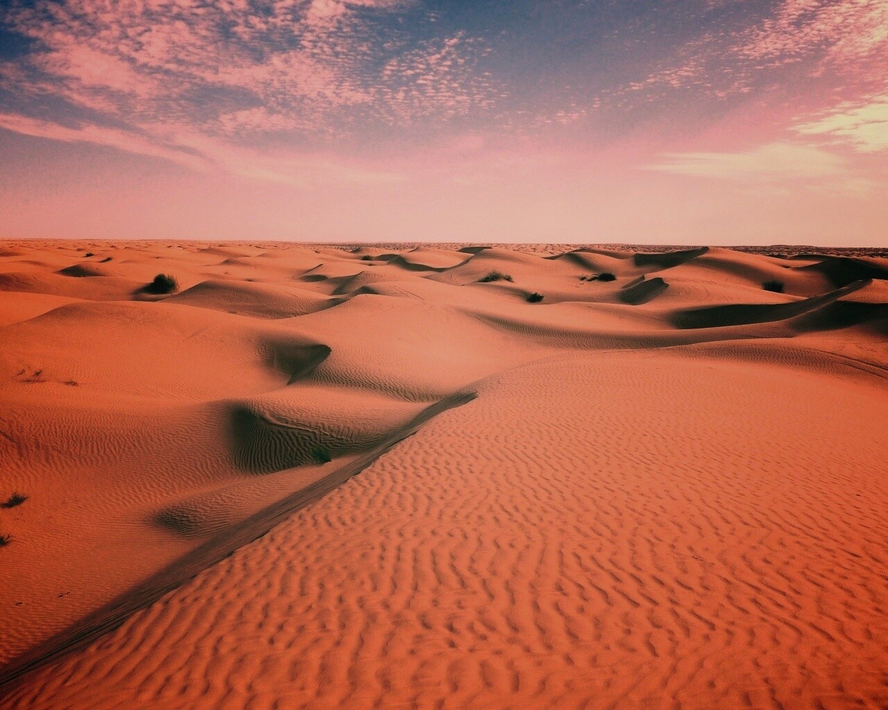 Пустыня до самого горизонта обои