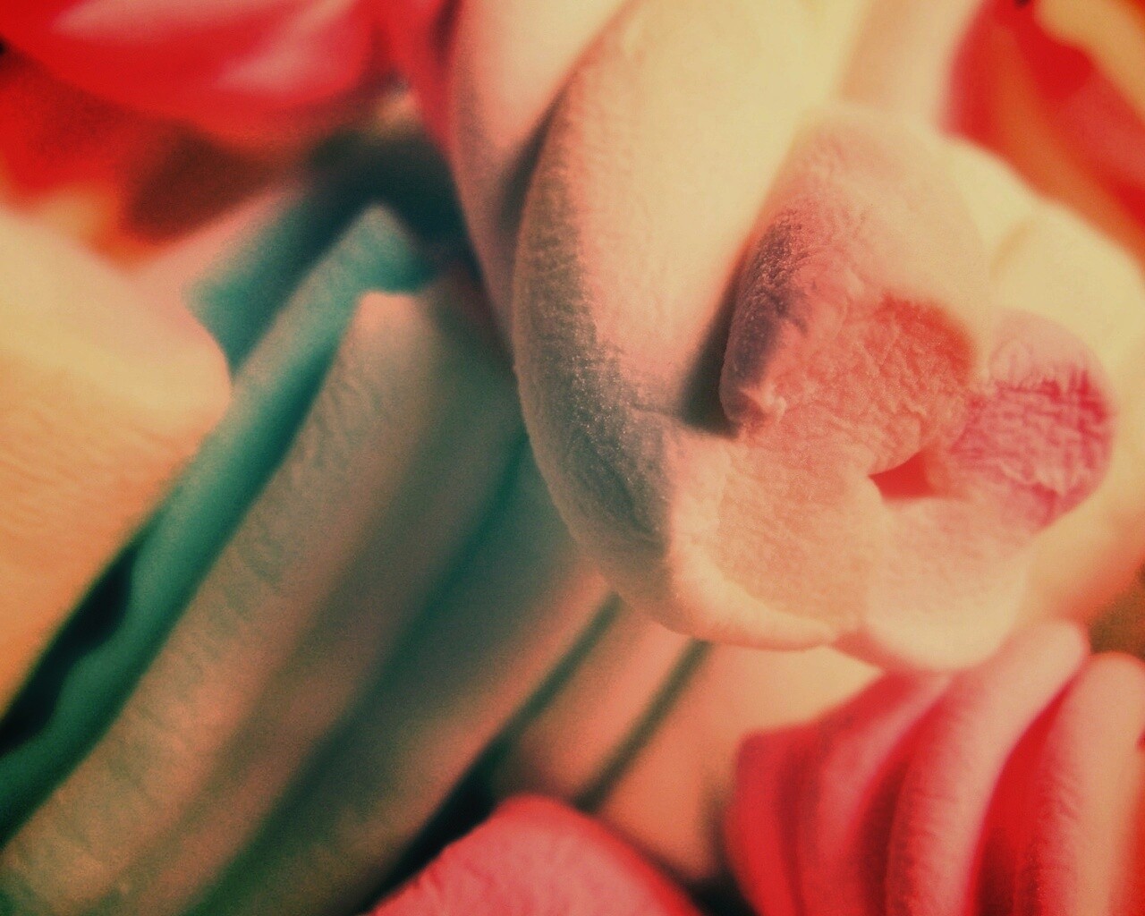 Кручёный зефир обои