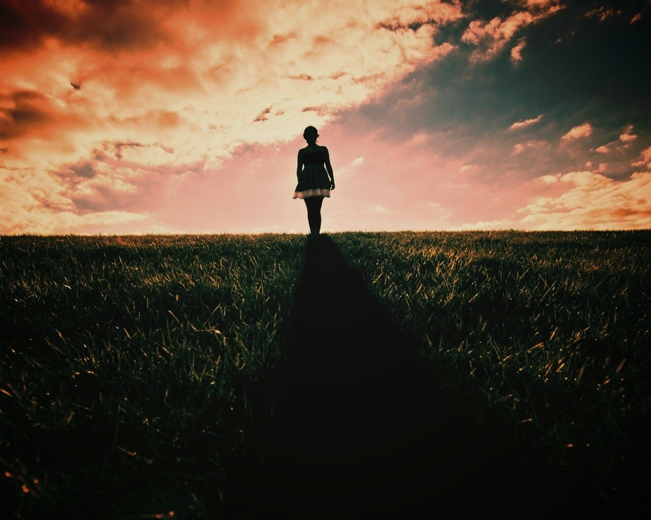 Силуэт девочки на поле обои