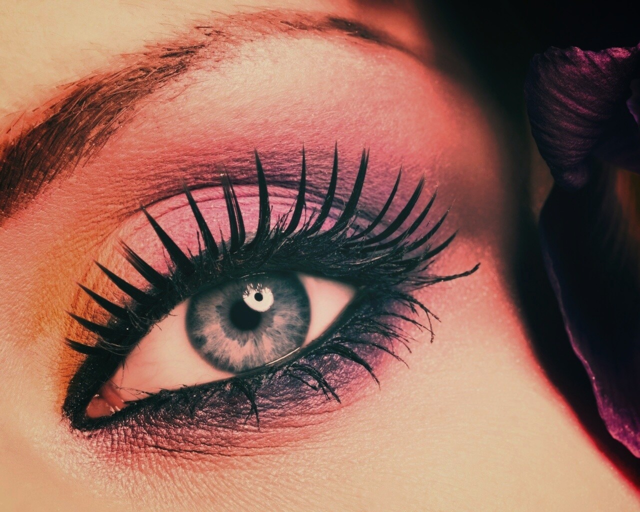 Макияж и цветок обои