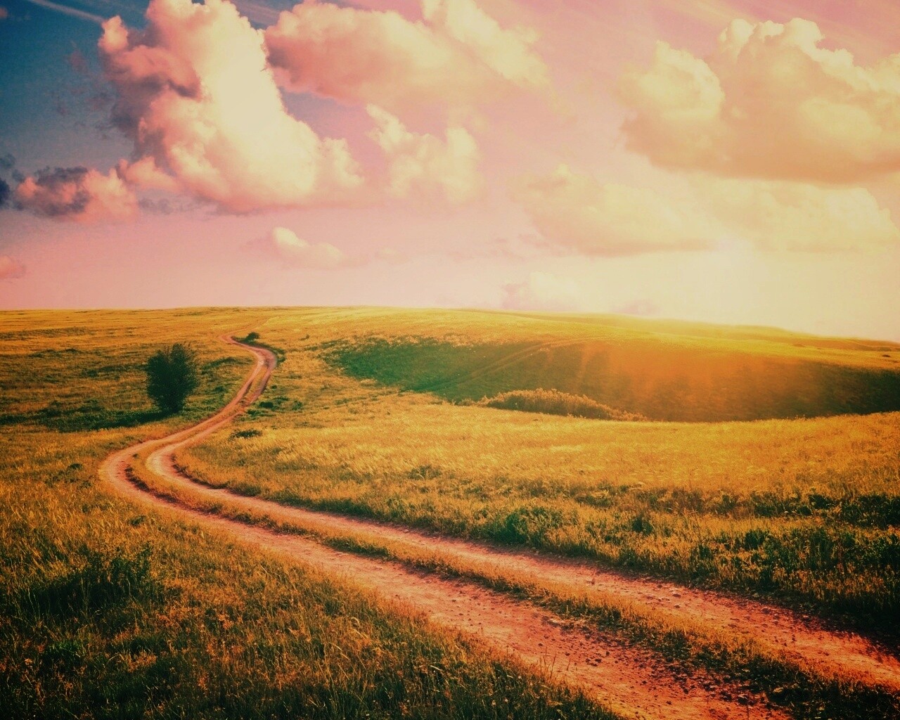 Дорога через луг обои