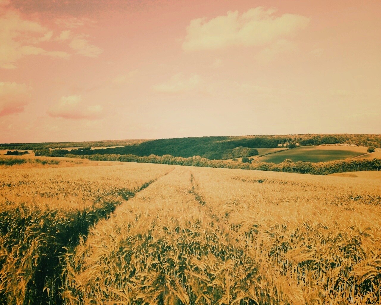 Бескрайние просторы обои