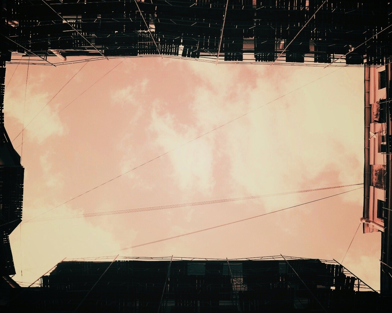 Человеческий муравейник обои