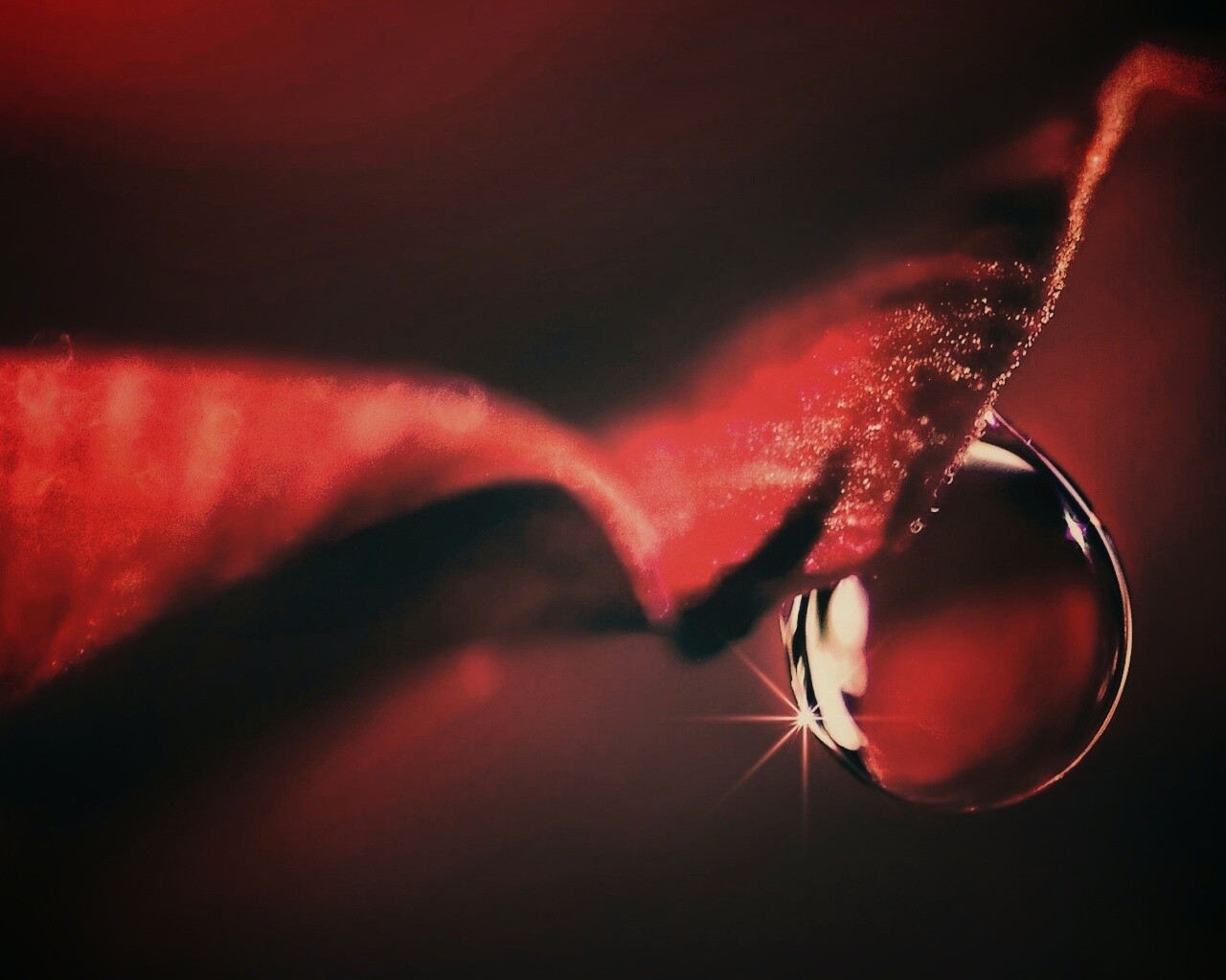 Макро капля на лепестке обои