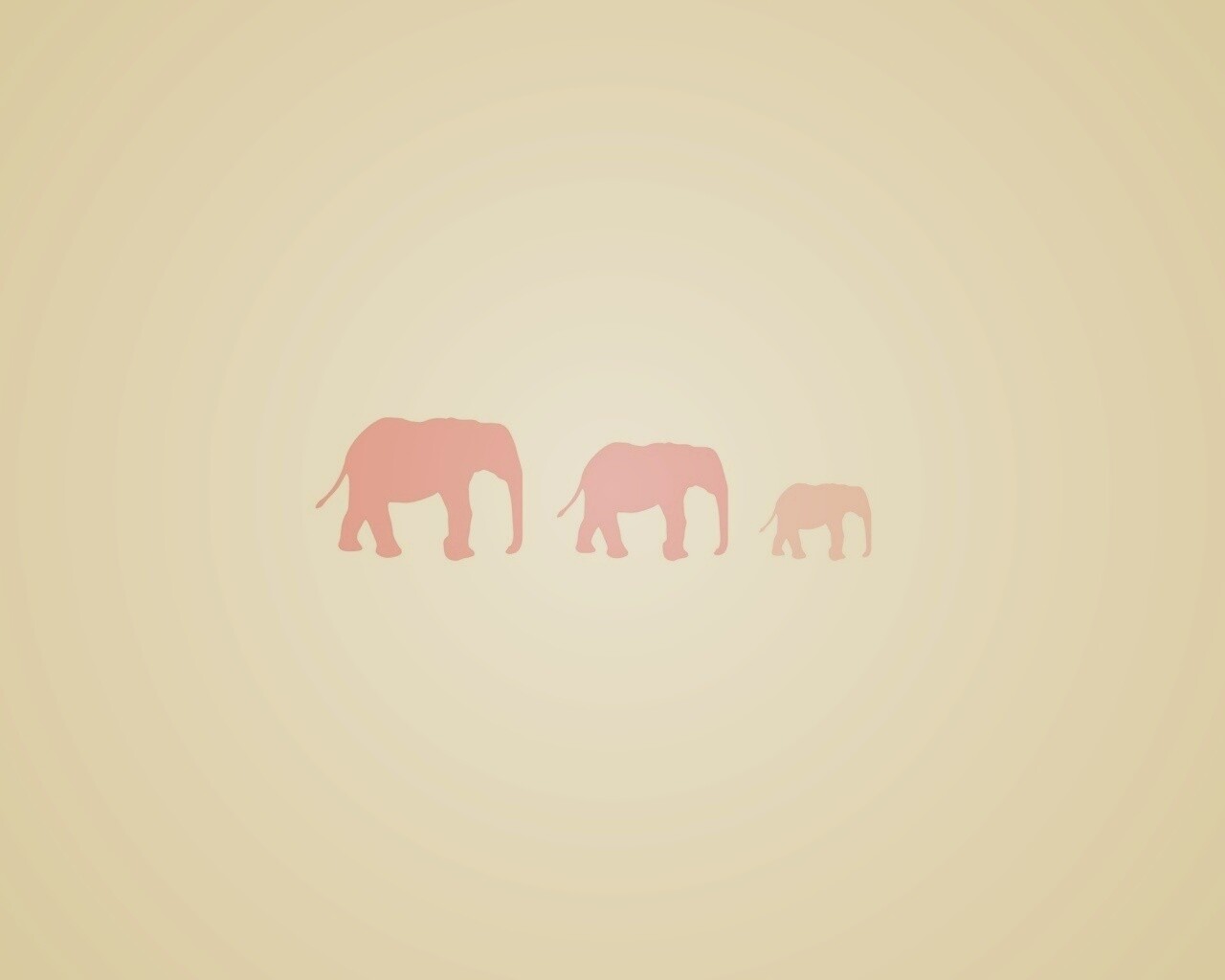 Вереница слонов обои