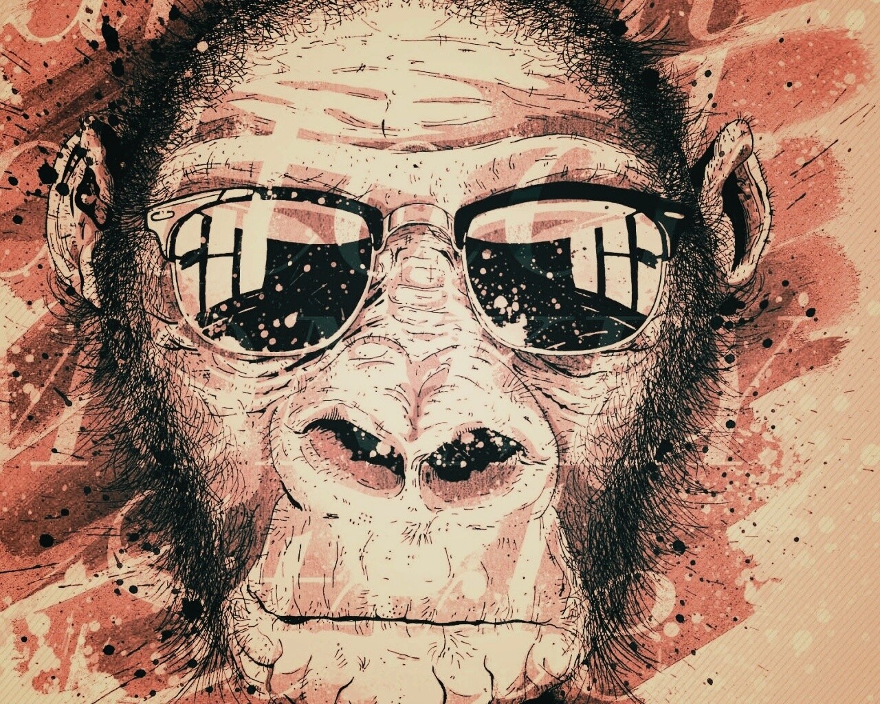 Макака в очках обои